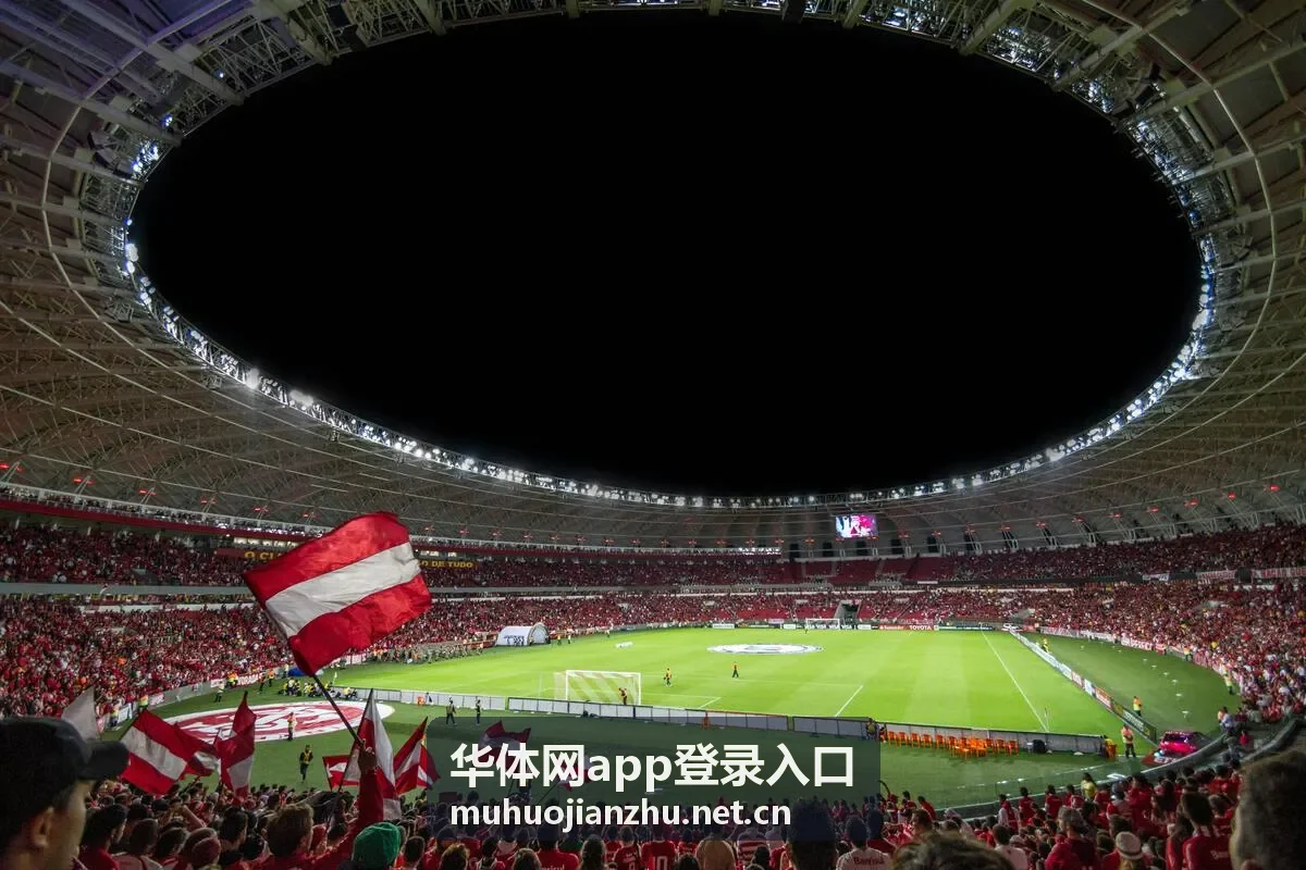 华体网app登录入口异常登录提醒核对示意图